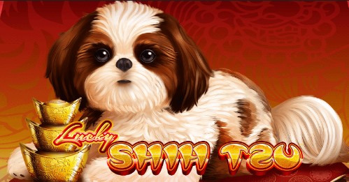 #Slot-thumb